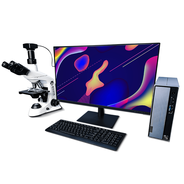 WXXYL-1 �w�S�����ʜy(c��)���x1.png