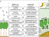 渦度相關(guān)通量介紹與數(shù)據(jù)處理方法
